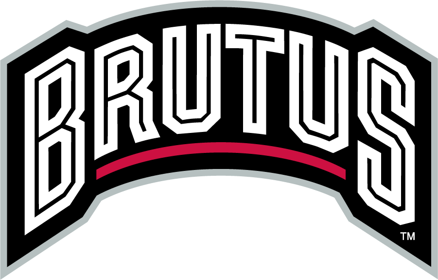 Ohio State Buckeyes 2006-2013 Mascot Logo diy iron on heat transfer